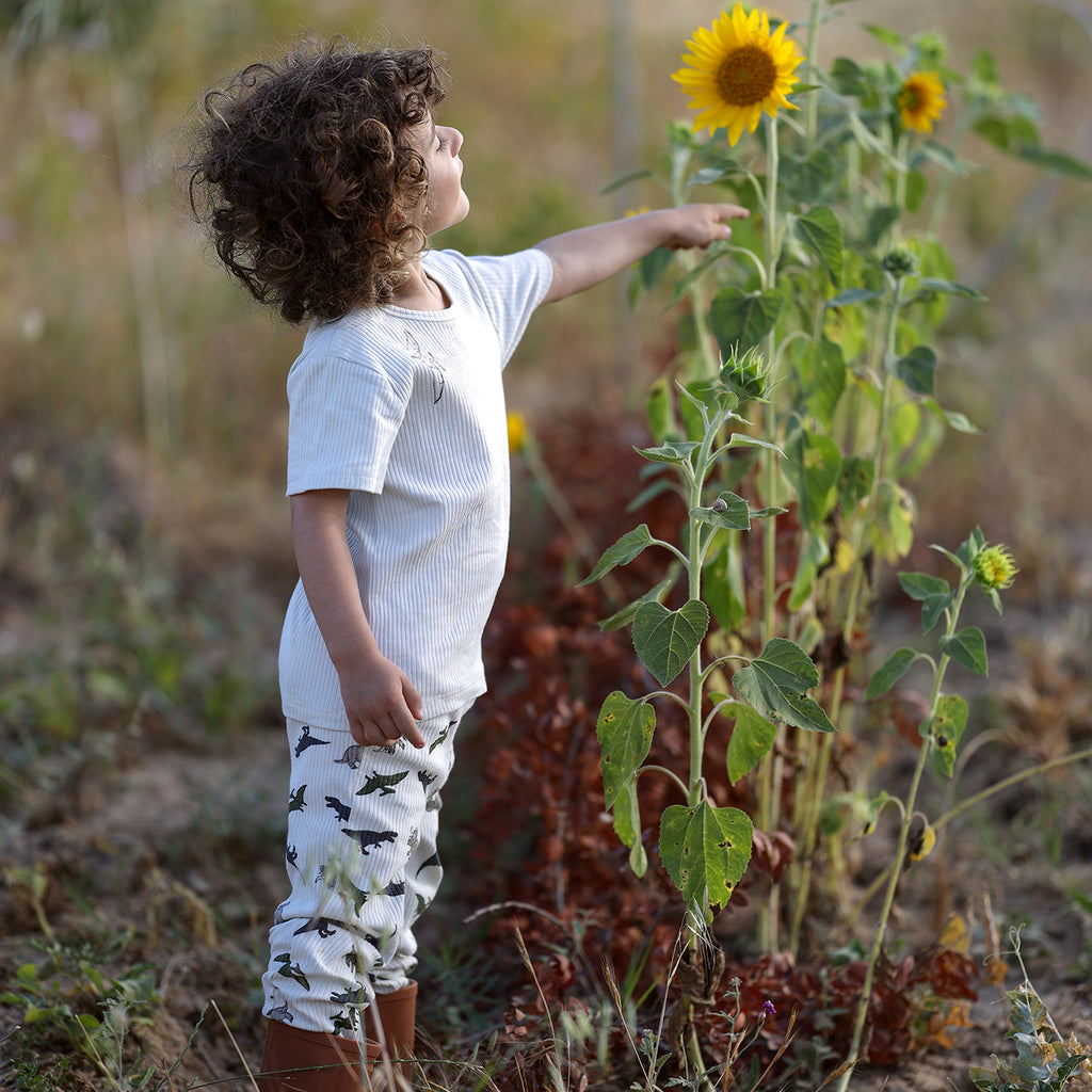 Nachhaltige Babykleidung: Was ist eigentlich Grüne Mode?