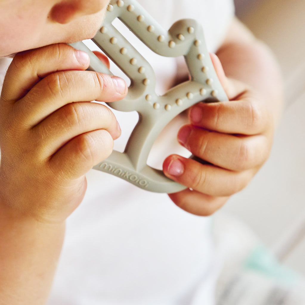 Minikoioi Toothee - Beißring - 100% lebensmittelechtem Silikon - BPA Frei - WikoBaby