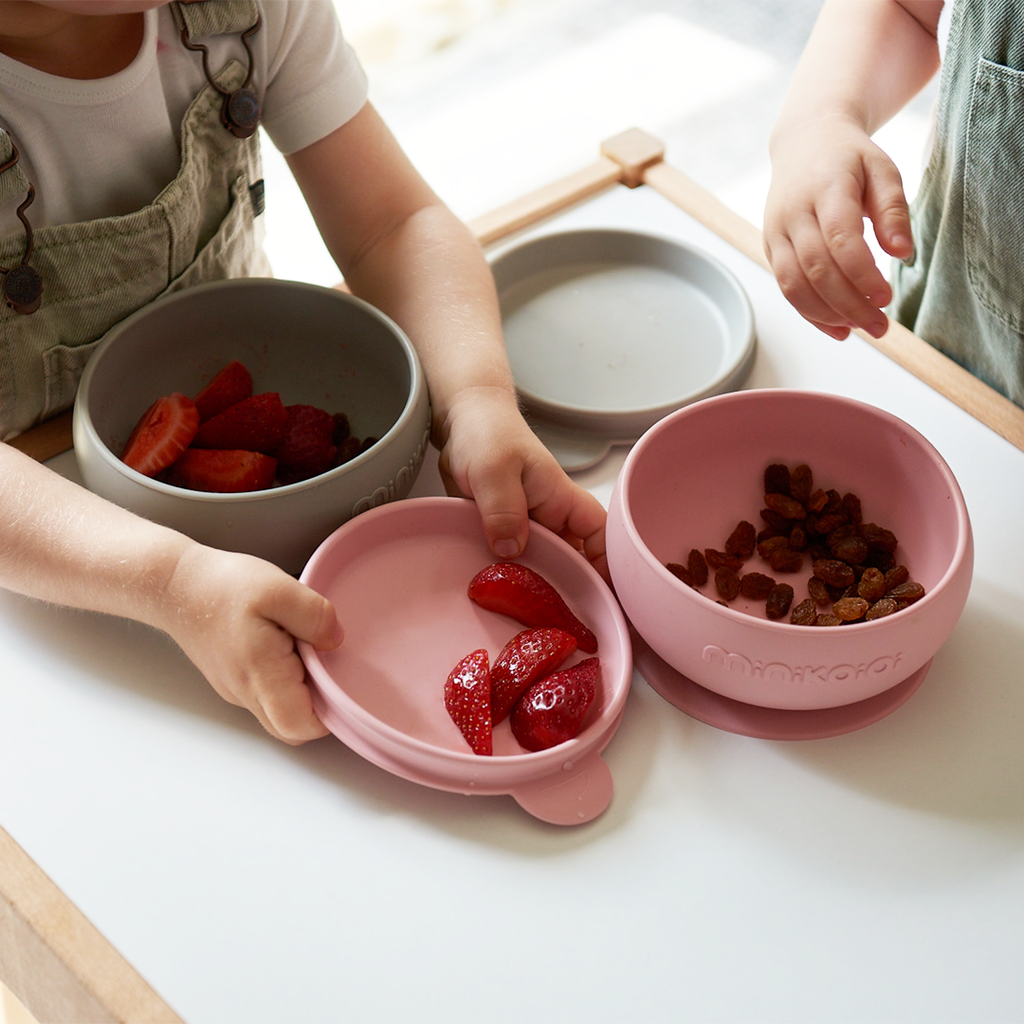 Minikoioi Bowly (Schüssel mit Deckel) - 100% lebensmittelechtem Silikon - BPA Frei - WikoBaby