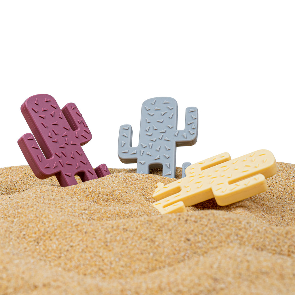 Minikoioi Cactus -Beißring - 100% lebensmittelechtem Silikon - BPA Frei - WikoBaby