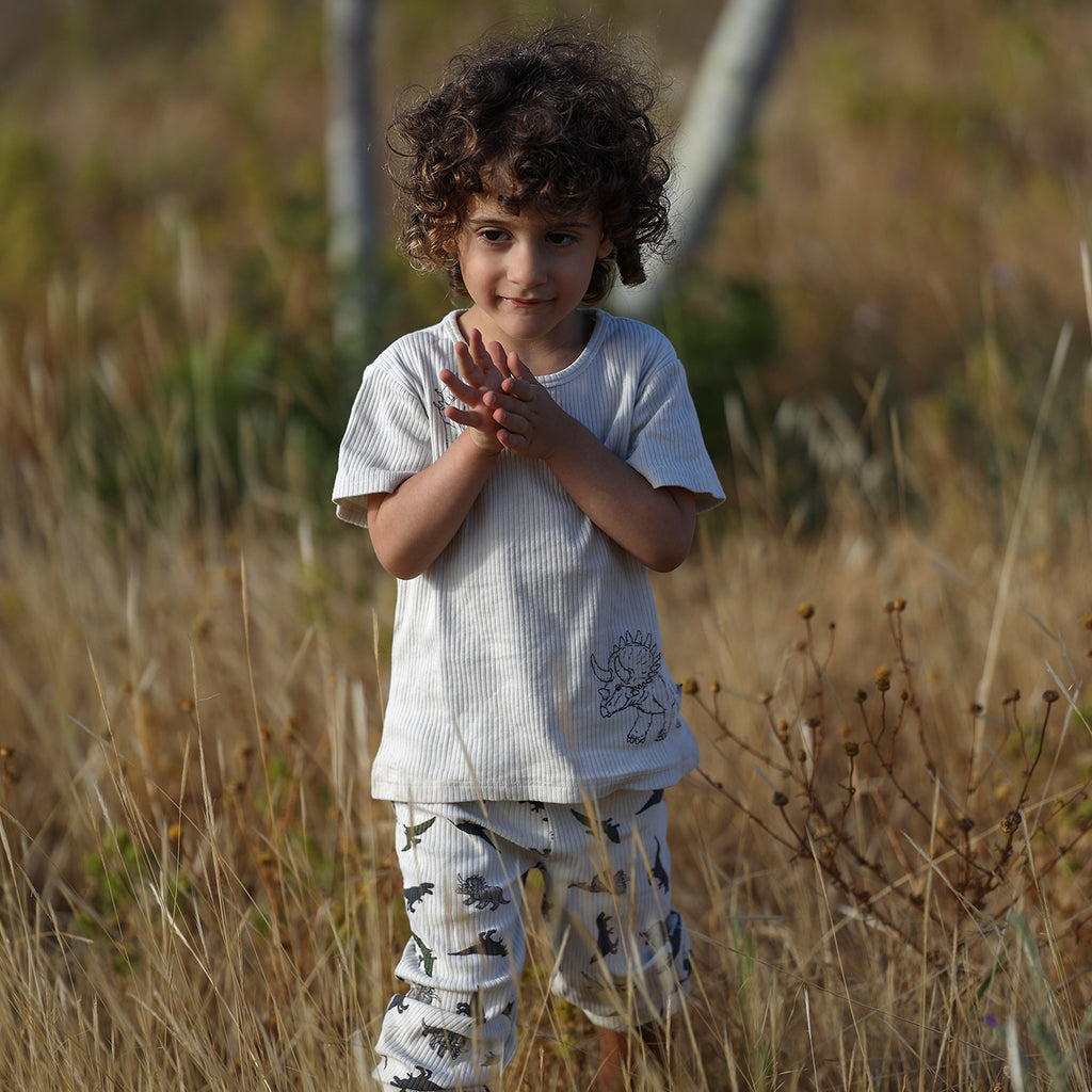 Hello Dino Pyjama Set - WikoBaby