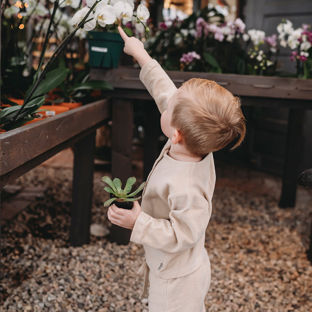 Beige Velvet Jacke- Antebies 100% Bio-Baumwolle - WikoBaby